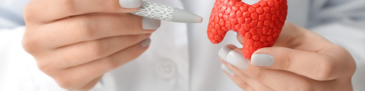 Doctor with model of thyroid gland and pen, closeup