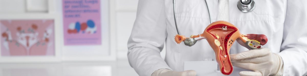 front-view-doctor-holding-anatomic-model