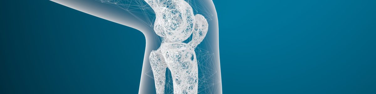 Leg bones and knees, 3d rendering. Computer digital drawing.